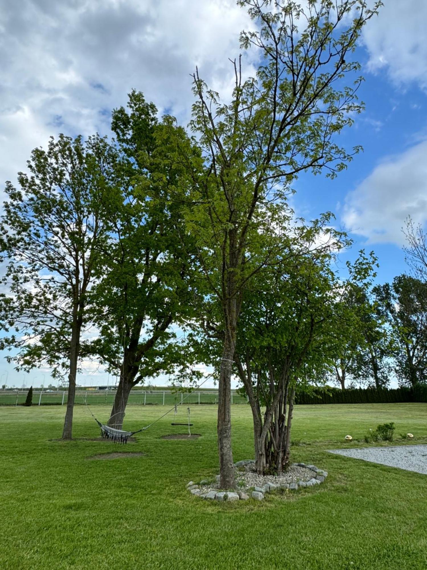 Villa Ranczo Ryki Nowy Dwór Gdański Esterno foto