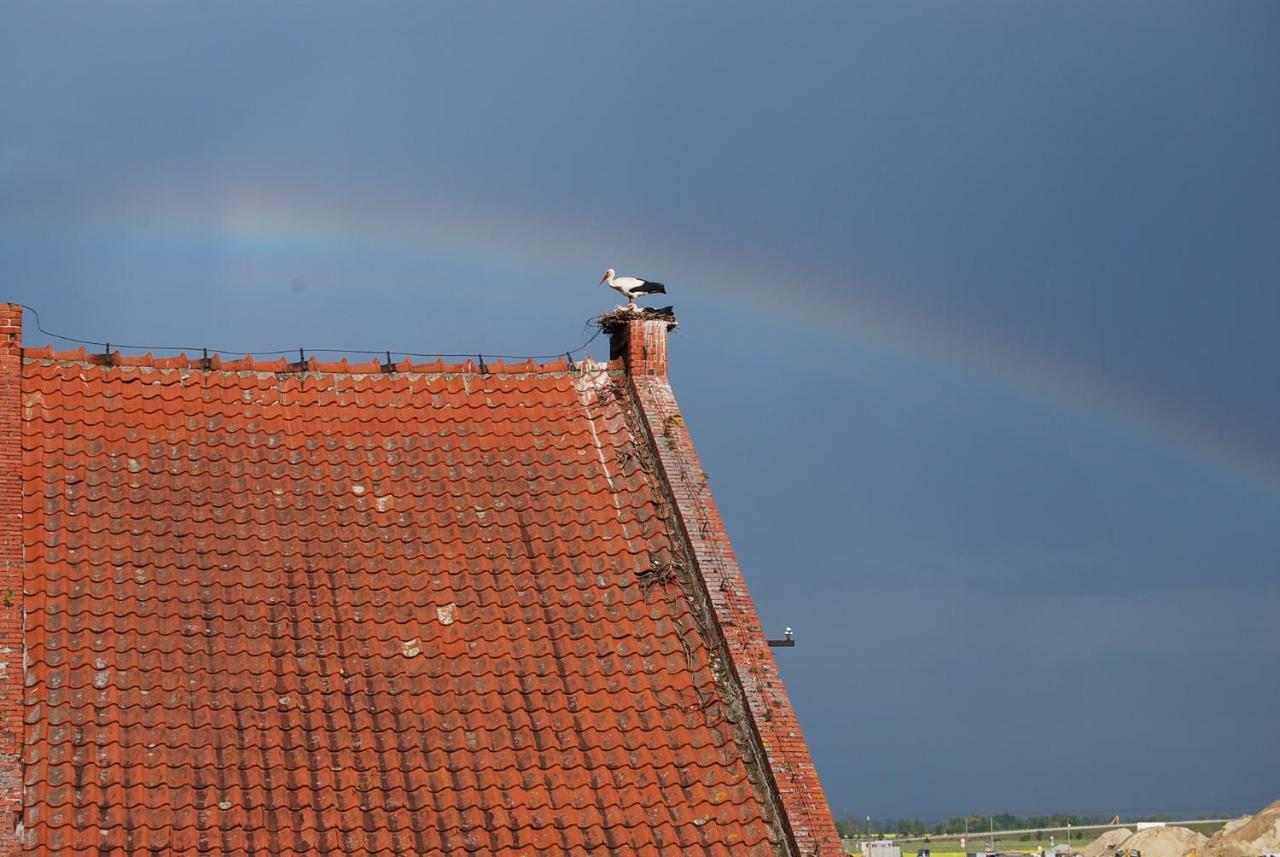 Villa Ranczo Ryki Nowy Dwór Gdański Esterno foto